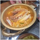 누렁소앤도새기 이미지