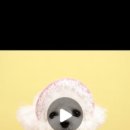 퍼피스프링 강서점 이미지