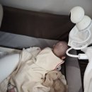 서연세탁 | 라비킷 커들업 내돈내산 솔직후기｜라라스 옆잠 베개 졸업하기
