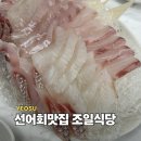여수 현지인 맛집 조일식당 선어회 매운탕 후기(feat. 여기 찐이네)