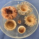 생태배움길 이미지