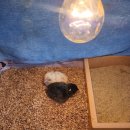 척과(병설)유치원 이미지