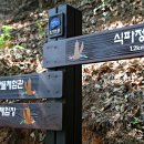 식파정 이미지