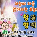 청명 이미지