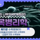 [개정판 나무의사] 수목병리학 - 제11강 수목병해(9) : 파이토플라즈마/선충에 의한 수목병해 조회수 8.1천회 10개월 전 이미지