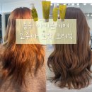 샘아쿠아라인 | 극손상 모발 오주아 모발 클리닉 후기 아이븐 헤어 충주 미용실