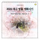 경대교 주변 | 2026 대구 벚꽃 개화시기 실시간 현황! 놓치면 안 될 대구 벚꽃 명소 베스트 3