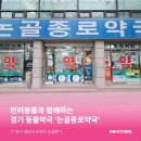 논골종로약국 이미지