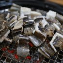 통발집 이미지
