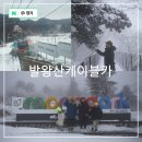 상상카프라자 | 강원도 평창 가볼만한곳 발왕산 케이블카 용평 스카이워크 가격 예매 할인