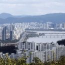 강남-286 이미지