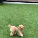 평택고덕유치원 이미지