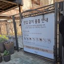 [경기 광주] 4월 수선화 축제 &#34;화담숲&#34; 방문후기, 주차장, 봄꽃축제