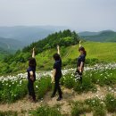 육백마지기 이미지