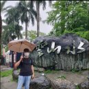 종일코스 이미지