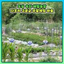 철기농장 네이버블로그