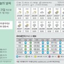 31 이미지