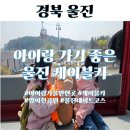 정보카 | 울진 아쿠아리움 아이랑 케이블카 운영정보 크리스탈캐빈 벚꽃 본 후기