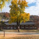 전주향교 이미지