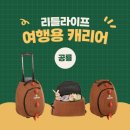 비세이프 이미지