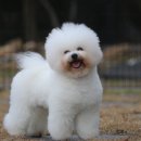 워킹포드림 이미지