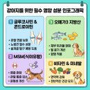 플럼라인생명과학 영업소 | 리뉴독 효과 총정리! 강아지 관절,피부,면역까지 한 번에 관리하는 방법 (2026 최신)