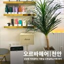성성동 미용실 소현실장님께 커트받고 온 후기 오르바헤어 성성점