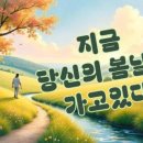 당신의봄날 - 창원시 진해구 냉천로 112-1 | 당신의봄날