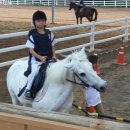 충효체육관 이미지