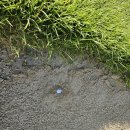 씨사이드 | 김포씨사이드cc 라운딩후기