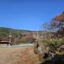 마로가든 이미지