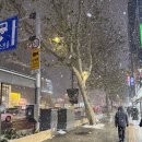 종로진낙지 | [익선동 맛집] 종로3가에서 만난 인생 낙지볶음 '종로진낙지'