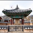 순천-77호 이미지