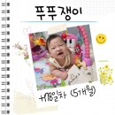 푸푸