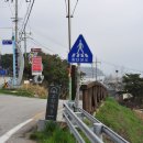 모항갯벌체험장
