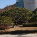 청심병원 이미지