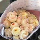 장미기물 | 남대문 갈치조림 동화식당 , 그릇시장 현대기물 방문후기!