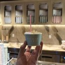 아이스크림 전문점 | [신세계백화점 강남 맛집] 젤라또 전문점 ‘아이스크림 소사이어티’ 메뉴 &amp; 가격 후기