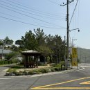 달님민박 이미지