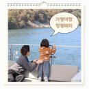 청평나루 | 가평 남이섬 단풍 청평페리 크루즈 가격 후기