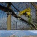 자생식물원 이미지