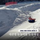 고랭지만두마을 | 평창 아이랑 갈만한 곳 대관령 눈꽃마을 눈썰매장 입장료 예매 먹거리 등 2026년 방문 후기