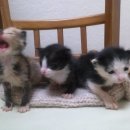 개금3동-3 이미지