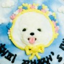 놀면멍하냥 이미지