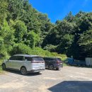 가랑잎새 이미지