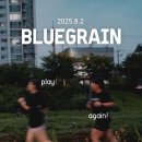 비치블루 이미지