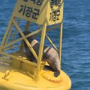 바다에앉아서 이미지