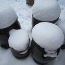 산골의하루 이미지