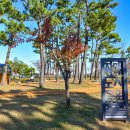 자매공원 이미지