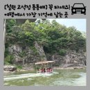 [고석정 통통배 탑승기] 아이들과 잊지 못할 한탄강 뱃놀이 체험! 요금 시간 탑승 정보